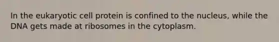 In the eukaryotic cell protein is confined to the nucleus, while the DNA gets made at ribosomes in the cytoplasm.