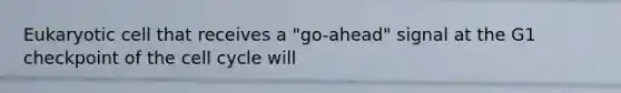 Eukaryotic cell that receives a "go-ahead" signal at the G1 checkpoint of the cell cycle will