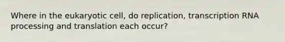 Where in the eukaryotic cell, do replication, transcription RNA processing and translation each occur?