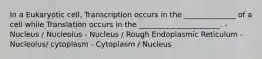 In a Eukaryotic cell, Transcription occurs in the ______________ of a cell while Translation occurs in the ______________________. - Nucleus / Nucleolus - Nucleus / Rough Endoplasmic Reticulum - Nucleolus/ cytoplasm - Cytoplasm / Nucleus