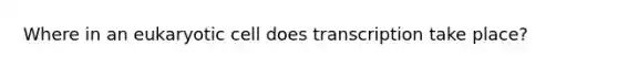 Where in an eukaryotic cell does transcription take place?