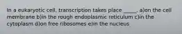 In a eukaryotic cell, transcription takes place _____. a)on the cell membrane b)in the rough endoplasmic reticulum c)in the cytoplasm d)on free ribosomes e)in the nucleus