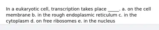 In a eukaryotic cell, transcription takes place _____. a. on the cell membrane b. in the rough endoplasmic reticulum c. in the cytoplasm d. on free ribosomes e. in the nucleus