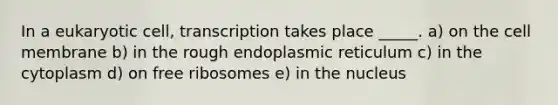 In a eukaryotic cell, transcription takes place _____. a) on the cell membrane b) in the rough endoplasmic reticulum c) in the cytoplasm d) on free ribosomes e) in the nucleus