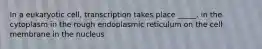 In a eukaryotic cell, transcription takes place _____. in the cytoplasm in the rough endoplasmic reticulum on the cell membrane in the nucleus