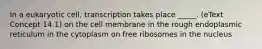 In a eukaryotic cell, transcription takes place _____. (eText Concept 14.1) on the cell membrane in the rough endoplasmic reticulum in the cytoplasm on free ribosomes in the nucleus