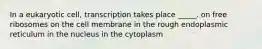 In a eukaryotic cell, transcription takes place _____. on free ribosomes on the cell membrane in the rough endoplasmic reticulum in the nucleus in the cytoplasm