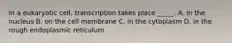 In a eukaryotic cell, transcription takes place _____. A. in the nucleus B. on the cell membrane C. in the cytoplasm D. in the rough endoplasmic reticulum