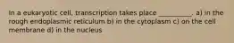 In a eukaryotic cell, transcription takes place __________. a) in the rough endoplasmic reticulum b) in the cytoplasm c) on the cell membrane d) in the nucleus