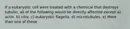 If a eukaryotic cell were treated with a chemical that destroys tubulin, all of the following would be directly affected except a) actin. b) cilia. c) eukaryotic flagella. d) microtubules. e) More than one of these