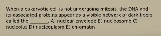 When a eukaryotic cell is not undergoing mitosis, the DNA and its associated proteins appear as a visible network of dark fibers called the ________. A) nuclear envelope B) nucleosome C) nucleolus D) nucleoplasm E) chromatin