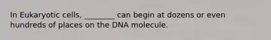 In <a href='https://www.questionai.com/knowledge/kb526cpm6R-eukaryotic-cells' class='anchor-knowledge'>eukaryotic cells</a>, ________ can begin at dozens or even hundreds of places on the DNA molecule.