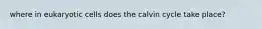 where in eukaryotic cells does the calvin cycle take place?