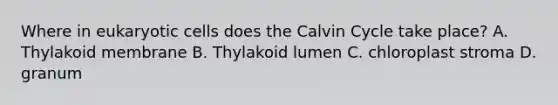 Where in eukaryotic cells does the Calvin Cycle take place? A. Thylakoid membrane B. Thylakoid lumen C. chloroplast stroma D. granum