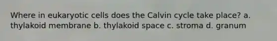 Where in eukaryotic cells does the Calvin cycle take place? a. thylakoid membrane b. thylakoid space c. stroma d. granum