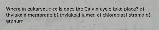 Where in eukaryotic cells does the Calvin cycle take place? a) thylakoid membrane b) thylakoid lumen c) chloroplast stroma d) granum