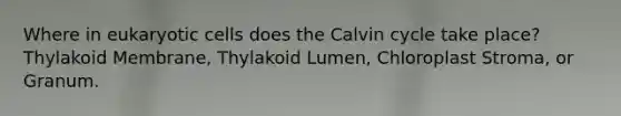 Where in <a href='https://www.questionai.com/knowledge/kb526cpm6R-eukaryotic-cells' class='anchor-knowledge'>eukaryotic cells</a> does the Calvin cycle take place? Thylakoid Membrane, Thylakoid Lumen, Chloroplast Stroma, or Granum.