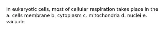 In eukaryotic cells, most of cellular respiration takes place in the a. cells membrane b. cytoplasm c. mitochondria d. nuclei e. vacuole