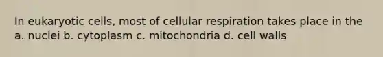 In eukaryotic cells, most of cellular respiration takes place in the a. nuclei b. cytoplasm c. mitochondria d. cell walls