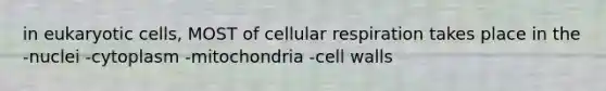 in eukaryotic cells, MOST of cellular respiration takes place in the -nuclei -cytoplasm -mitochondria -cell walls