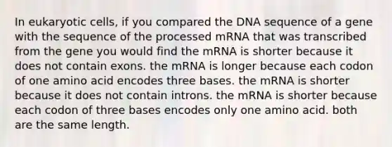 In <a href='https://www.questionai.com/knowledge/kb526cpm6R-eukaryotic-cells' class='anchor-knowledge'>eukaryotic cells</a>, if you compared the DNA sequence of a gene with the sequence of the processed mRNA that was transcribed from the gene you would find the mRNA is shorter because it does not contain exons. the mRNA is longer because each codon of one amino acid encodes three bases. the mRNA is shorter because it does not contain introns. the mRNA is shorter because each codon of three bases encodes only one amino acid. both are the same length.