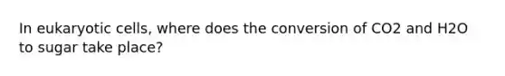 In eukaryotic cells, where does the conversion of CO2 and H2O to sugar take place?