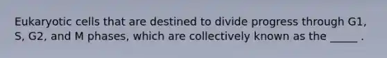 <a href='https://www.questionai.com/knowledge/kb526cpm6R-eukaryotic-cells' class='anchor-knowledge'>eukaryotic cells</a> that are destined to divide progress through G1, S, G2, and M phases, which are collectively known as the _____ .
