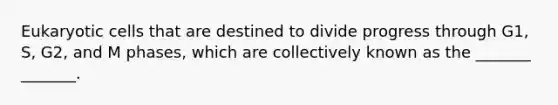 Eukaryotic cells that are destined to divide progress through G1, S, G2, and M phases, which are collectively known as the _______ _______.