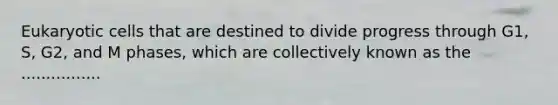 Eukaryotic cells that are destined to divide progress through G1, S, G2, and M phases, which are collectively known as the ................