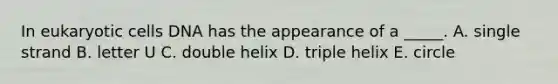 In eukaryotic cells DNA has the appearance of a _____. A. single strand B. letter U C. double helix D. triple helix E. circle