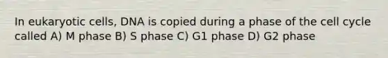 In eukaryotic cells, DNA is copied during a phase of the cell cycle called A) M phase B) S phase C) G1 phase D) G2 phase