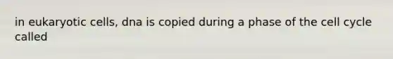 in eukaryotic cells, dna is copied during a phase of the cell cycle called