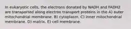 In eukaryotic cells, the electrons donated by NADH and FADH2 are transported along electron transport proteins in the A) outer mitochondrial membrane. B) cytoplasm. C) inner mitochondrial membrane. D) matrix. E) cell membrane.