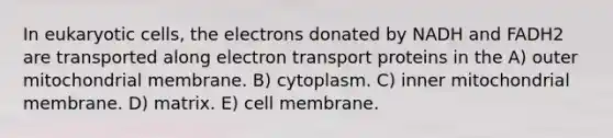 In eukaryotic cells, the electrons donated by NADH and FADH2 are transported along electron transport proteins in the A) outer mitochondrial membrane. B) cytoplasm. C) inner mitochondrial membrane. D) matrix. E) cell membrane.