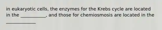 in eukaryotic cells, the enzymes for the Krebs cycle are located in the ___________, and those for chemiosmosis are located in the _____________