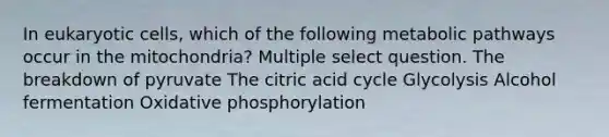 In eukaryotic cells, which of the following metabolic pathways occur in the mitochondria? Multiple select question. The breakdown of pyruvate The citric acid cycle Glycolysis Alcohol fermentation Oxidative phosphorylation