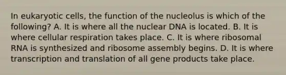 In eukaryotic cells, the function of the nucleolus is which of the following? A. It is where all the nuclear DNA is located. B. It is where cellular respiration takes place. C. It is where ribosomal RNA is synthesized and ribosome assembly begins. D. It is where transcription and translation of all gene products take place.