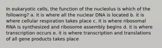 In eukaryotic cells, the function of the nucleolus is which of the following? a. it is where all the nuclear DNA is located b. it is where cellular respiration takes place c. it is where ribosomal RNA is synthesized and ribosome assembly begins d. it is where transcription occurs e. it is where transcription and translations of all gene products takes place