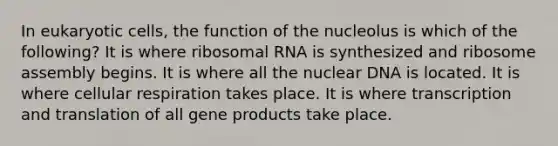 In <a href='https://www.questionai.com/knowledge/kb526cpm6R-eukaryotic-cells' class='anchor-knowledge'>eukaryotic cells</a>, the function of the nucleolus is which of the following? It is where <a href='https://www.questionai.com/knowledge/k4lWAiAI7W-ribosomal-rna' class='anchor-knowledge'>ribosomal rna</a> is synthesized and ribosome assembly begins. It is where all the nuclear DNA is located. It is where cellular respiration takes place. It is where <a href='https://www.questionai.com/knowledge/kWsjwWywkN-transcription-and-translation' class='anchor-knowledge'>transcription and translation</a> of all gene products take place.