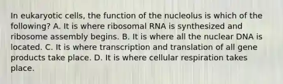 In eukaryotic cells, the function of the nucleolus is which of the following? A. It is where ribosomal RNA is synthesized and ribosome assembly begins. B. It is where all the nuclear DNA is located. C. It is where transcription and translation of all gene products take place. D. It is where cellular respiration takes place.