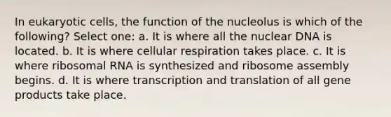 In eukaryotic cells, the function of the nucleolus is which of the following? Select one: a. It is where all the nuclear DNA is located. b. It is where cellular respiration takes place. c. It is where ribosomal RNA is synthesized and ribosome assembly begins. d. It is where transcription and translation of all gene products take place.