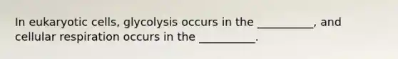 In eukaryotic cells, glycolysis occurs in the __________, and cellular respiration occurs in the __________.