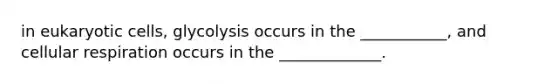 in eukaryotic cells, glycolysis occurs in the ___________, and cellular respiration occurs in the _____________.