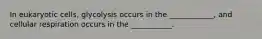 In eukaryotic cells, glycolysis occurs in the ____________, and cellular respiration occurs in the ___________.
