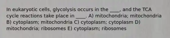 In eukaryotic cells, glycolysis occurs in the ____, and the TCA cycle reactions take place in ____. A) mitochondria; mitochondria B) cytoplasm; mitochondria C) cytoplasm; cytoplasm D) mitochondria; ribosomes E) cytoplasm; ribosomes