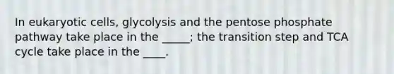 In eukaryotic cells, glycolysis and the pentose phosphate pathway take place in the _____; the transition step and TCA cycle take place in the ____.