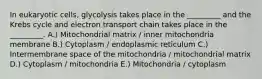 In eukaryotic cells, glycolysis takes place in the _________ and the Krebs cycle and electron transport chain takes place in the _________. A.) Mitochondrial matrix / inner mitochondria membrane B.) Cytoplasm / endoplasmic reticulum C.) Intermembrane space of the mitochondria / mitochondrial matrix D.) Cytoplasm / mitochondria E.) Mitochondria / cytoplasm