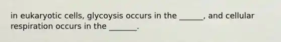 in eukaryotic cells, glycoysis occurs in the ______, and cellular respiration occurs in the _______.