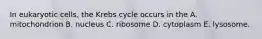 In eukaryotic cells, the Krebs cycle occurs in the A. mitochondrion B. nucleus C. ribosome D. cytoplasm E. lysosome.