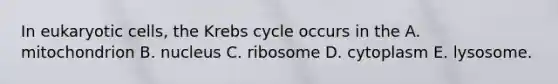 In eukaryotic cells, the Krebs cycle occurs in the A. mitochondrion B. nucleus C. ribosome D. cytoplasm E. lysosome.